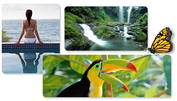 A picture montage of travel scenes in Costa Rica.  The first picture is of a woman sitting with her back to the camera, facing the ocean.  The second and third pictures are of a waterfall and Macaw.